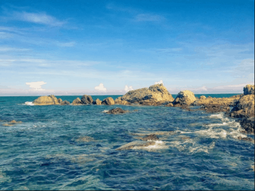 Bảng Báo Giá Dịch Vụ Cho Thuê Xe Ô Tô Du Lịch Từ TP.HCM Đi Phan Thiết