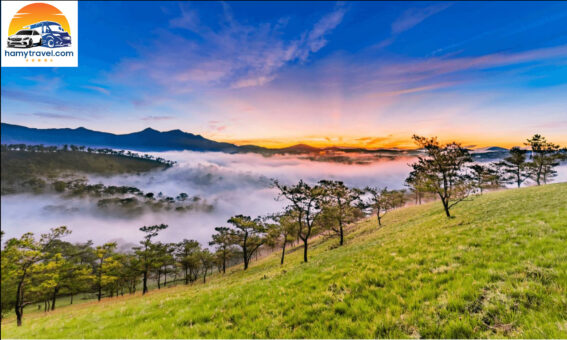 TP Mộng Mơ Đà Lạt