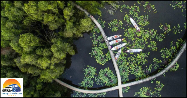 Làng nổi Tân Lập Long An