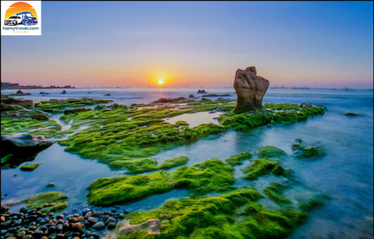 TP Biển Phan Thiết Mũi Né