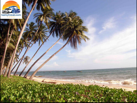 TP Biển Phan Thiết Mũi Né