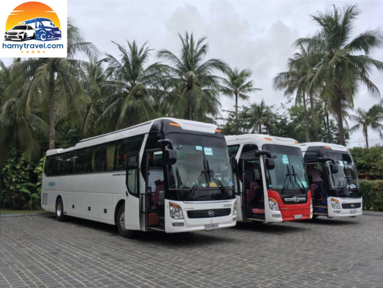 Thuê Xe 45 Chỗ Tại Thành Phố Hồ Chí Minh