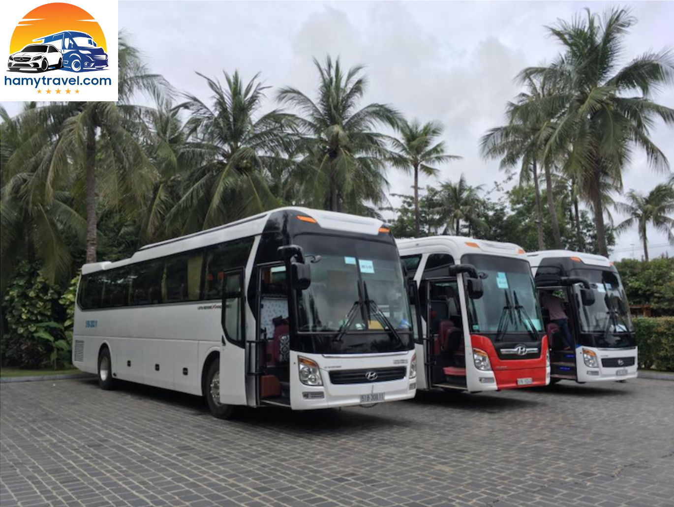 Thuê Xe 45 Chỗ Tại Thành Phố Hồ Chí Minh