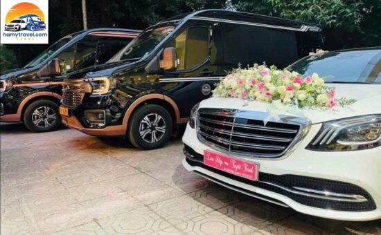 Một số loại xe đang cho thuê Một số loại xe đang cho thuê